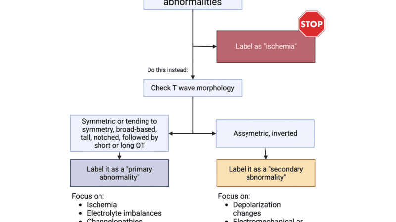 Entendendo o Padrão de  Strain  do Ventrículo Esquerdo: Diagnóstico e Implicações Clínicas