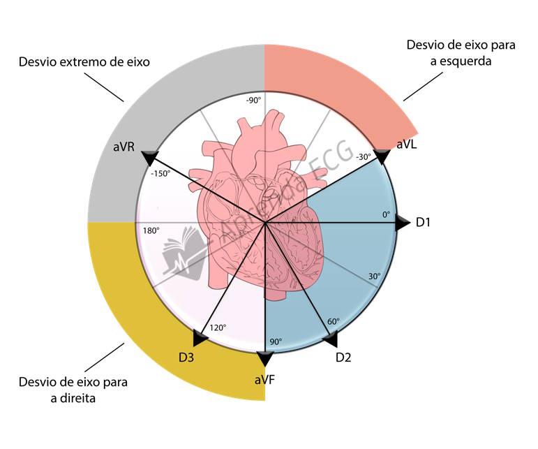 Electrical axis on the ECG
