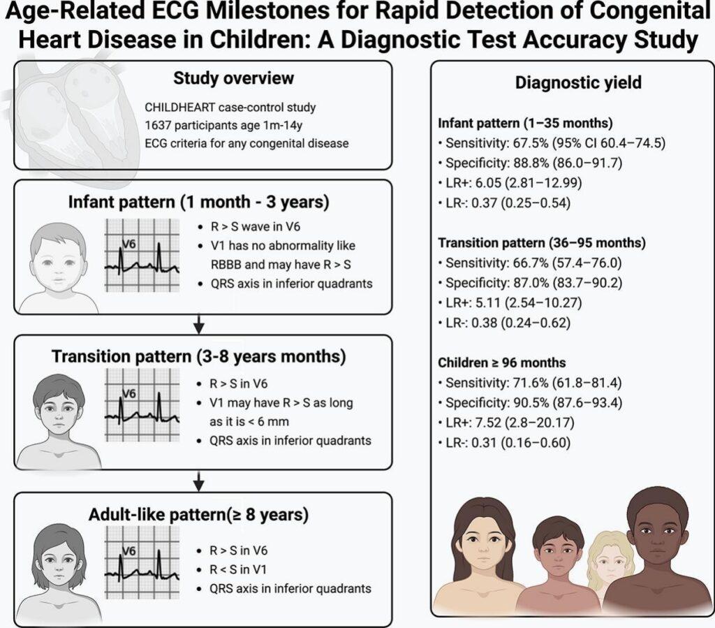 Graphical abstract of the CHILDHEART study: infant, transitional, and adult ECG patterns by age and diagnostic accuracy