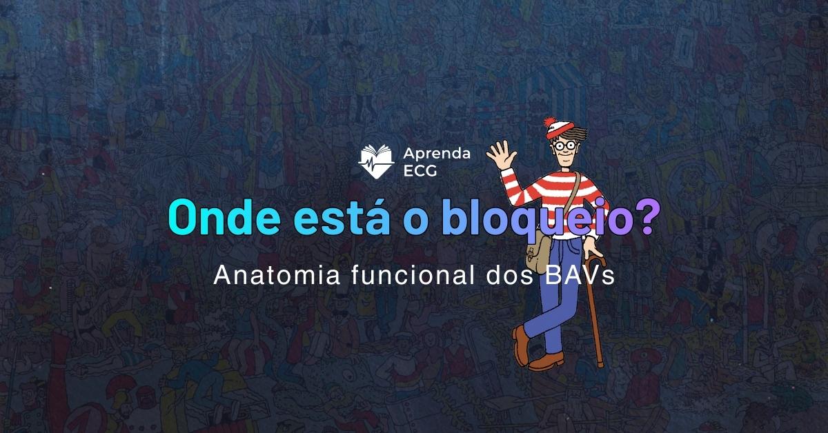 Onde está o bloqueio? Anatomia funcional dos BAVs