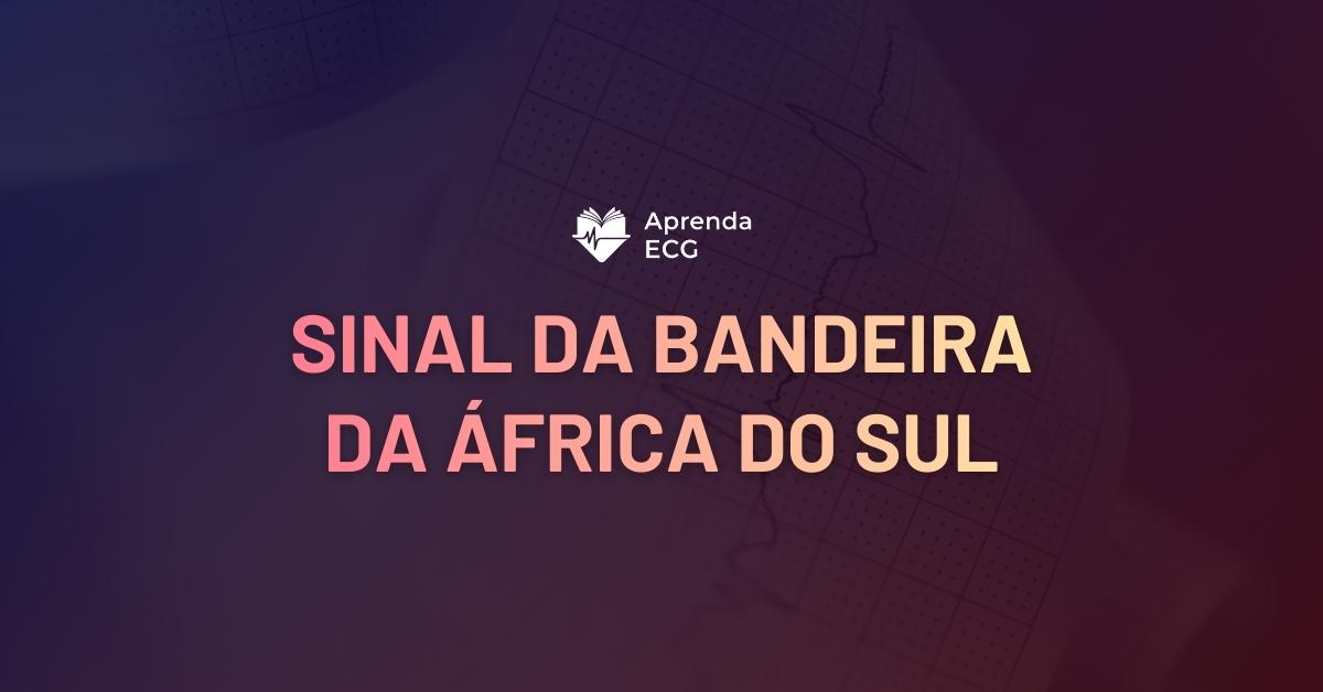Sinal da Bandeira da África do Sul