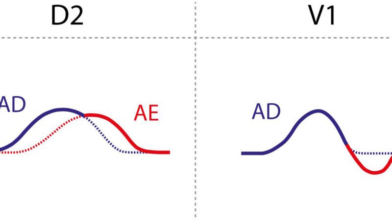 Livros Tratado de ECG