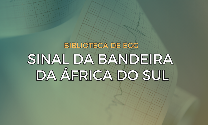 Leia mais sobre o artigo Sinal da Bandeira da África do Sul